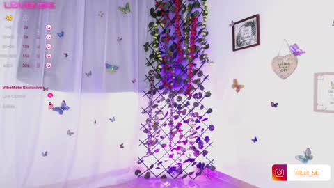 Snapshot of tich__ chatting on 12/21/24, 12:16 TICH online show from 12/21/24, 12:16