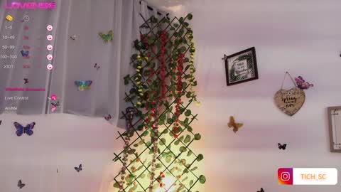 Snapshot of tich__ chatting on 01/05/25, 07:07 TICH online show from 01/05/25, 07:07