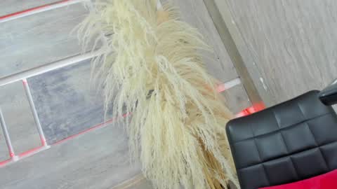 Tiffany online show from 02/05/25, 07:50