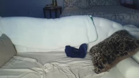 Tiffani Love online show from 02/08/25, 01:00