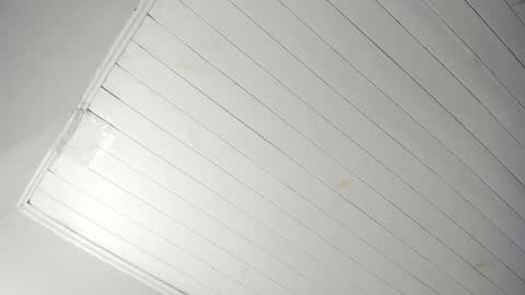 Tiffany online show from 11/22/25, 11:09