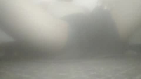 Snapshot of tiger005588 chatting on 11/21/25, 09:08 tiger005588 online show from 11/21/25, 09:08