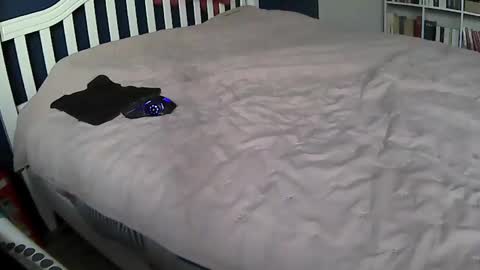 tigerek_i_m online show from 02/11/25, 07:12