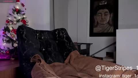 Snapshot of tigerstripes_ chatting on 12/29/24, 03:22 Chris online show from 12/29/24, 03:22