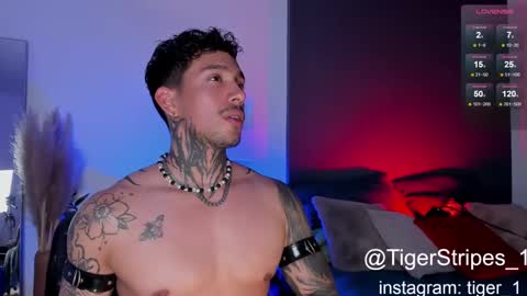 Snapshot of tigerstripes_ chatting on 02/02/25, 10:28 Chris online show from 02/02/25, 10:28