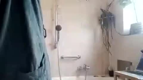 tigertrance online show from 11/11/25, 10:26