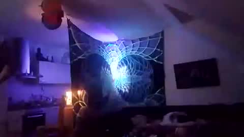 tigertrance online show from 12/02/25, 12:49