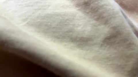 Snapshot of timber2255 chatting on 10/31/25, 02:07 timber2255 online show from 10/31/25, 02:07