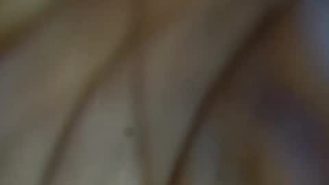 tinagiant online show from 01/11/26, 04:45