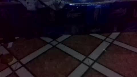 tino1roy online show from 03/24/26, 07:13