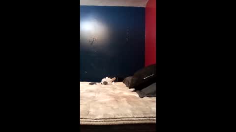 tinycock74478 online show from 03/19/26, 10:03