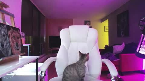 stage Kylie Sinner  brand CLITBAIT online show from 10/14/25, 01:06