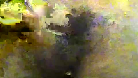 Tirius Barkhan online show from 11/30/25, 06:45