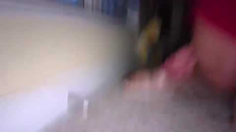 tj526316275 online show from 01/09/25, 12:19