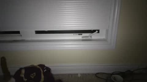 tj526316275 online show from 04/23/26, 06:47