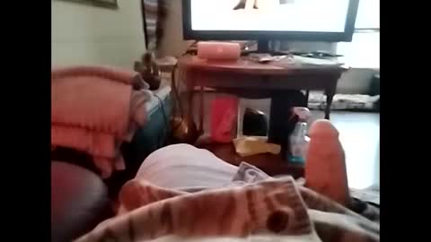 Snapshot of tjllagwbggrr chatting on 01/05/26, 07:28 tjllagwbggrr online show from 01/05/26, 07:28