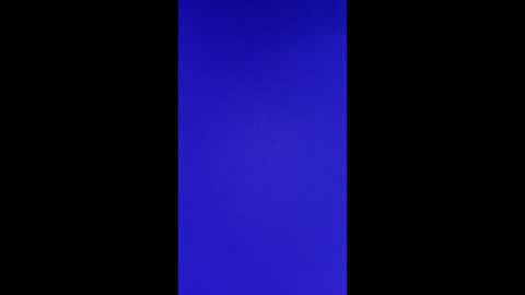 Vols online show from 02/24/25, 02:58