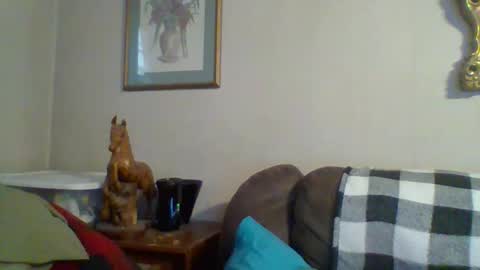 Vols online show from 11/12/25, 09:58