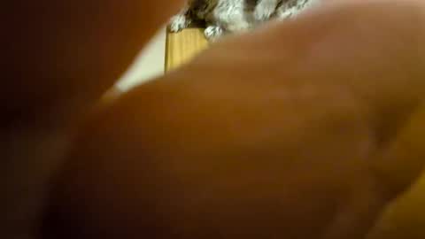 Toady online show from 12/08/24, 11:35