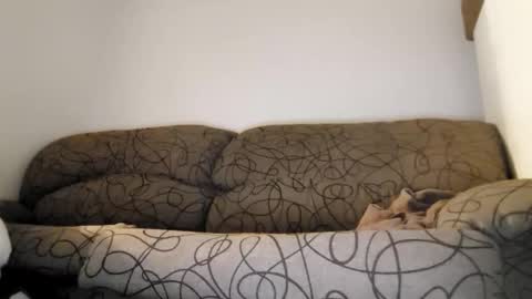 Snapshot of toffbuck chatting on 02/09/26, 04:49 ToffBuck online show from 02/09/26, 04:49