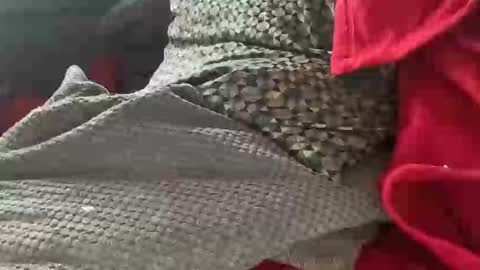 Tom online show from 01/09/25, 01:35