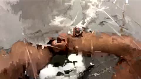 Snapshot of tommy55500 chatting on 11/24/25, 03:45 Dr. Dick online show from 11/24/25, 03:45