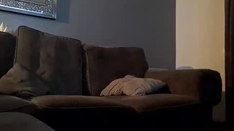 Snapshot of tommygee8805 chatting on 12/06/24, 04:36 Tonyfun online show from 12/06/24, 04:36