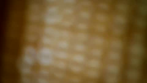 tomtresor online show from 12/17/25, 05:13