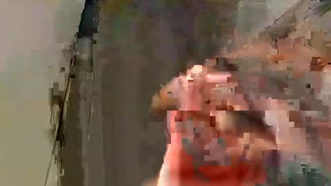 Snapshot of tony_1019 chatting on 01/24/25, 10:21 Tony 1019 online show from 01/24/25, 10:21