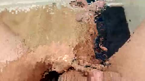 ARKANSAS THICK WOOD online show from 03/04/26, 02:28