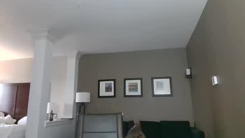 Snapshot of toomuchsmoke chatting on 02/06/25, 12:22 toomuchsmoke online show from 02/06/25, 12:22