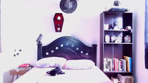 toothyy online show from 01/19/25, 02:59