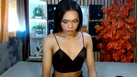 toptrans venice online show from 02/20/26, 06:26