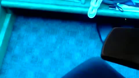 Snapshot of tornne chatting on 02/02/25, 01:19 tornne online show from 02/02/25, 01:19