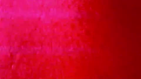 tornne online show from 03/31/26, 11:05