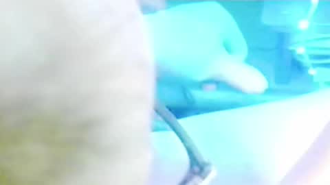 tornne online show from 04/02/26, 12:14