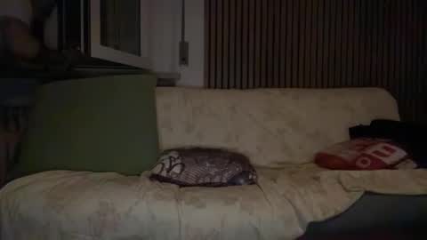 torofermo705033 online show from 01/10/26, 02:35