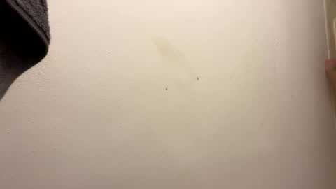 toronto5656 online show from 01/31/25, 06:46