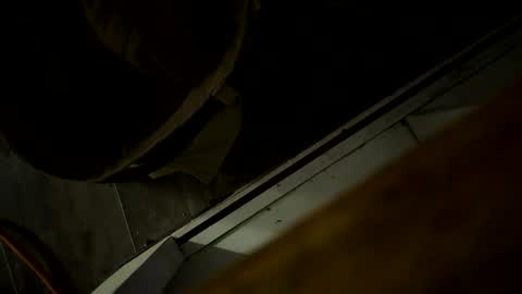 toronto5656 online show from 12/01/25, 01:38