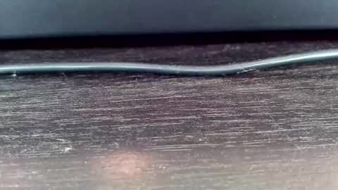 Vasiliy online show from 02/24/25, 05:22