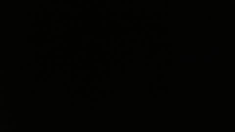 totoro_239 online show from 03/24/26, 08:36