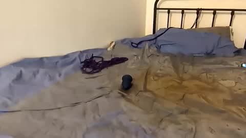 toxic2lust online show from 03/04/26, 06:58