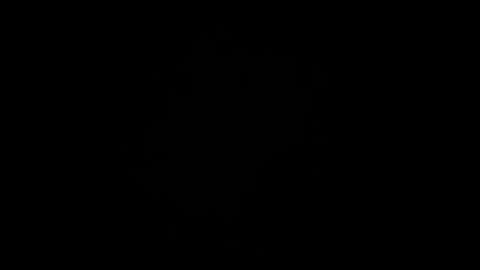 toxicted4 online show from 12/02/24, 11:07