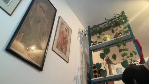 toybdsmguy online show from 12/28/24, 08:37