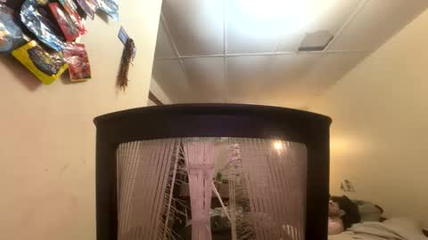 tracy227 online show from 11/09/25, 10:41