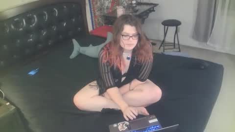 tranicpixiedreamgrl online show from 11/25/25, 02:00