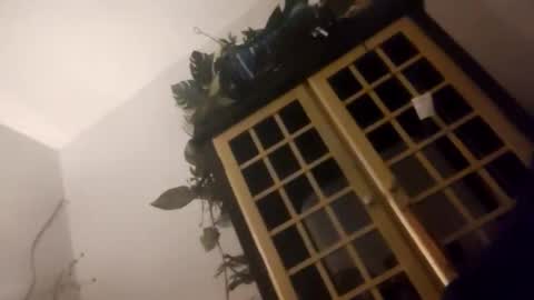 Snapshot of trans167456 chatting on 12/19/25, 09:49 trans167456 online show from 12/19/25, 09:49