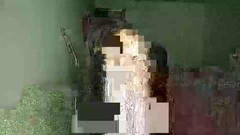 transelfenungehindert online show from 05/09/26, 04:34