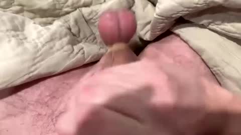 tree553 online show from 01/13/25, 01:56