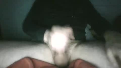 Snapshot of trekkertje666 chatting on 01/25/25, 08:00 trekkertje666 online show from 01/25/25, 08:00